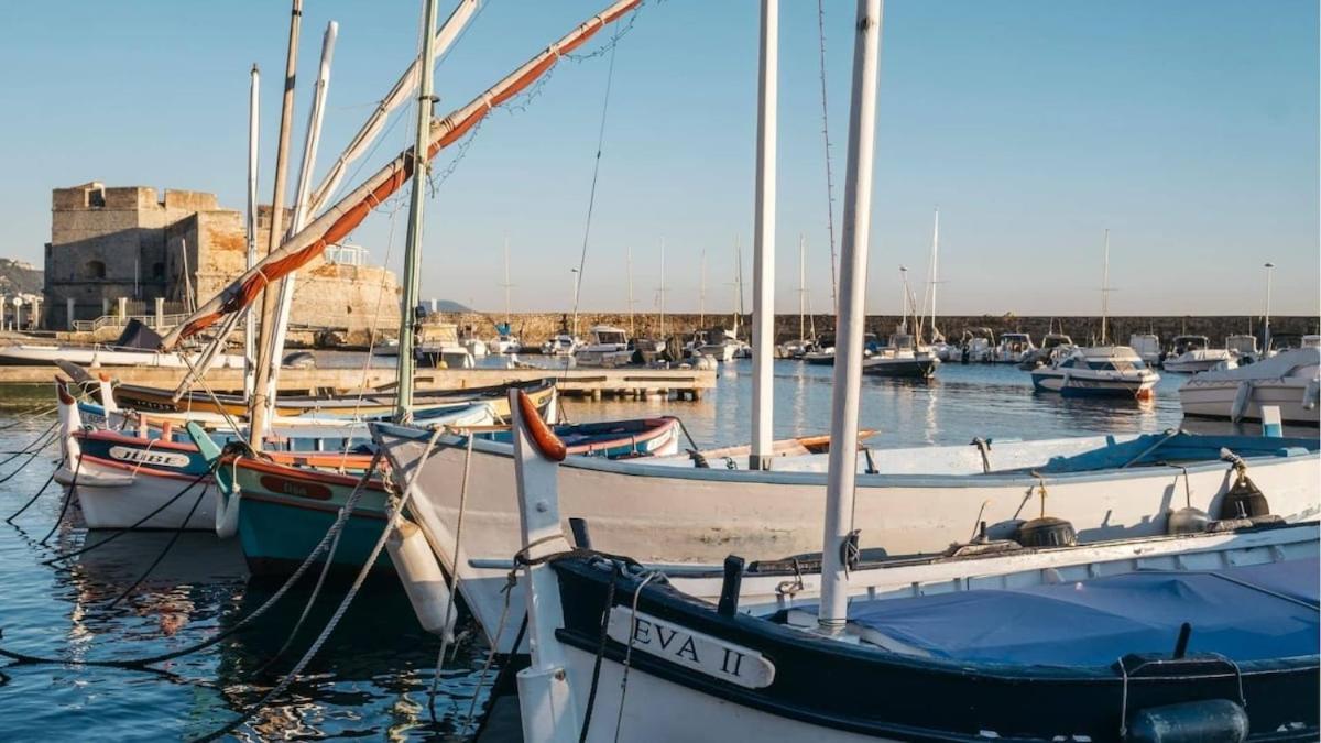 Spacieux Provencal - Mourillon - 7 Min A Pieds *
